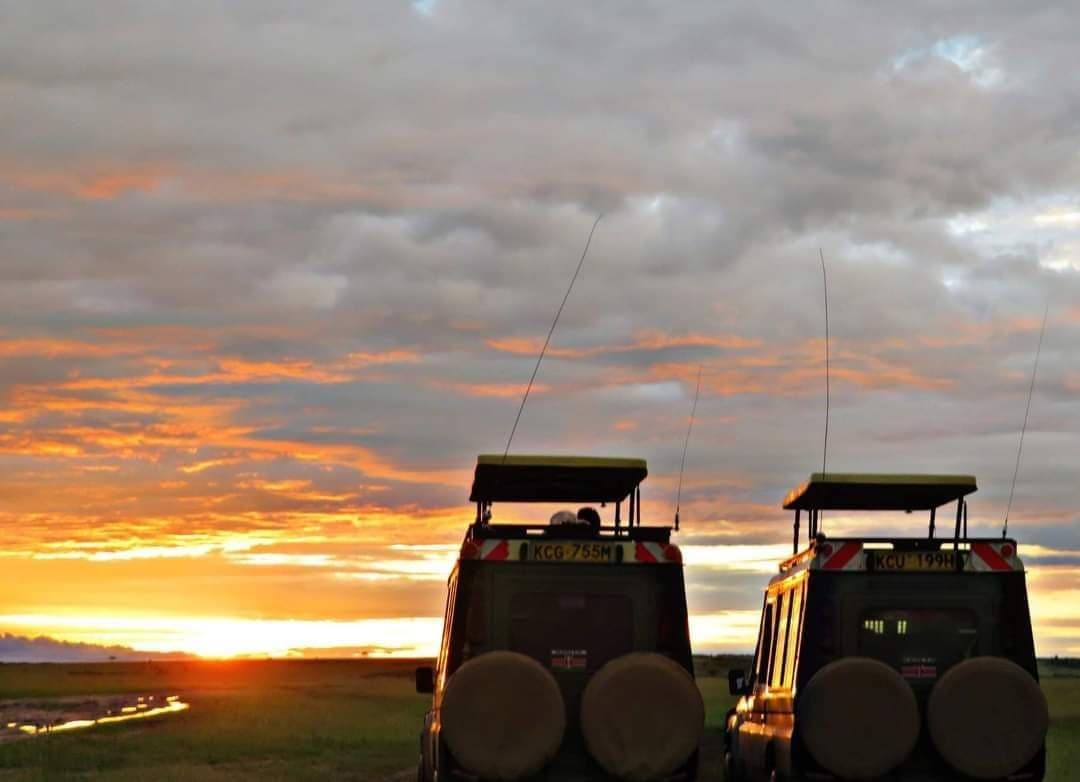 Safari Land Cruiser in action on game drive