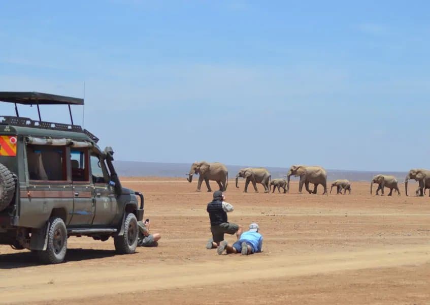 Elephant herd at Amboseli National Park with Mount Kilimanjaro backdrop