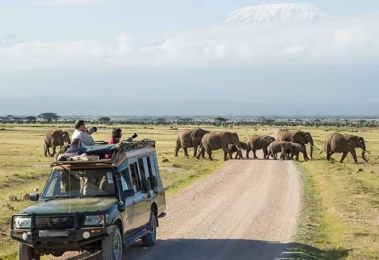 Amboseli Day Tour | Elephants in the Shadow of Kilimanjaro