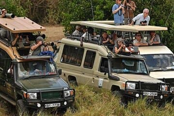 Safari photographers capturing wildlife through pop-up roof hatches of a Land Cruiser