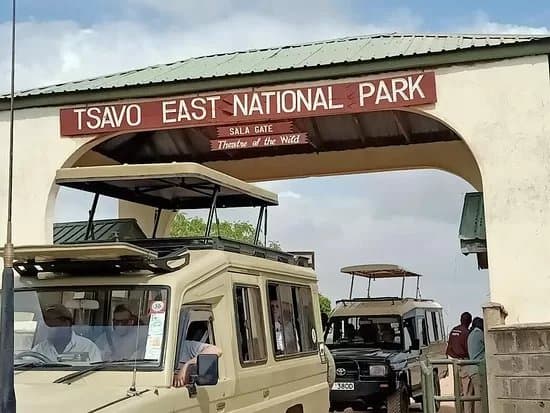 4×4 Land Cruisers at Tsavo East National Park Sala Gate — starting point for coast group safaris