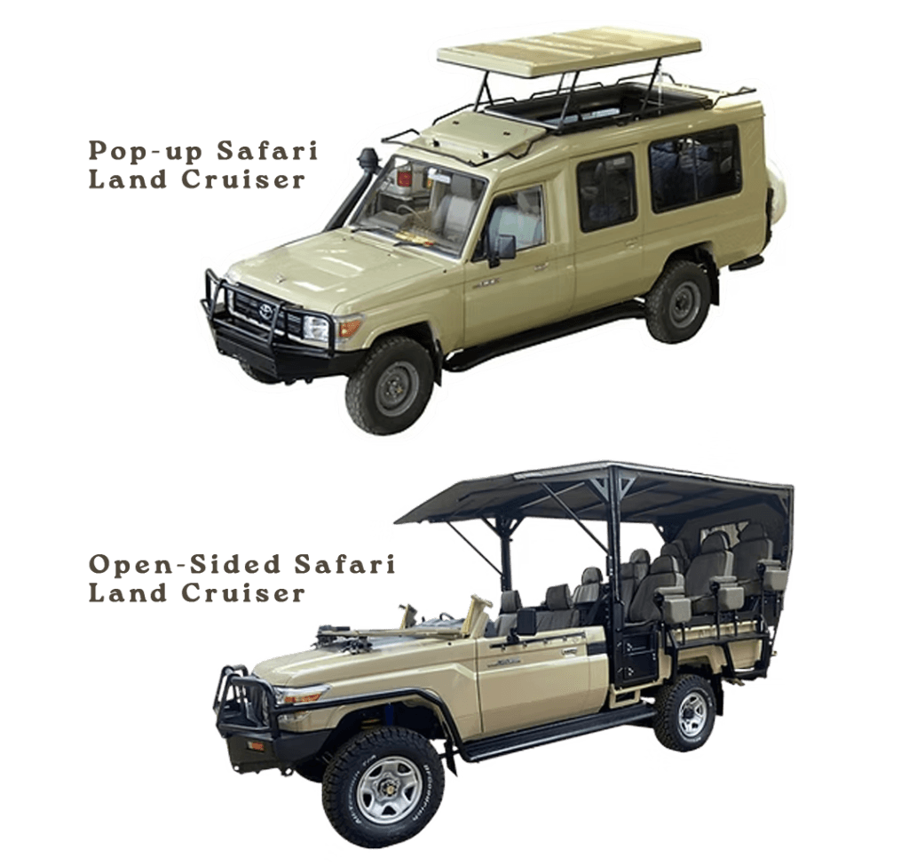Safari vehicle technical diagram showing features and modifications