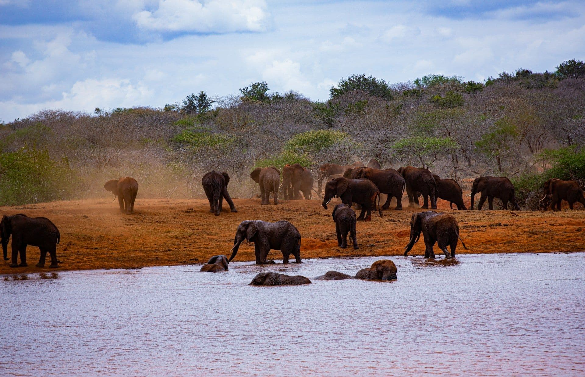 Flights to Mombasa