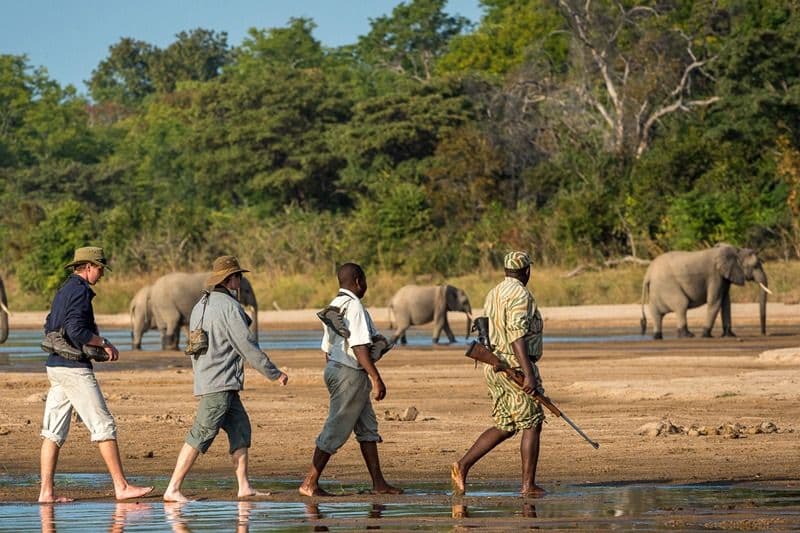 Lake Naivasha Boat Safari & Crescent Island - Thumbnail 2