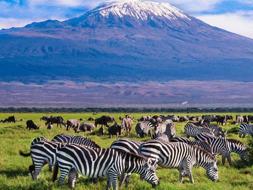 Day 2 — Tsavo East to Diani Beach