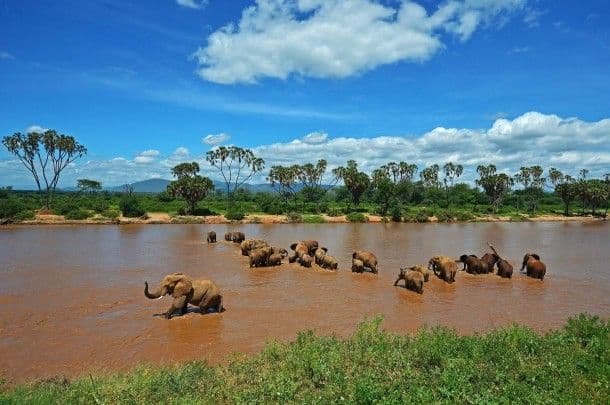 4-Day Tarangire & Serengeti Safari | Elephants to Migration