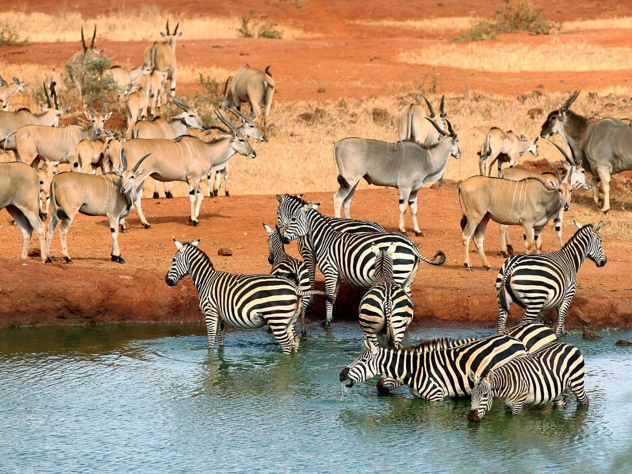 Day 2 — Tsavo West to Amboseli National Park