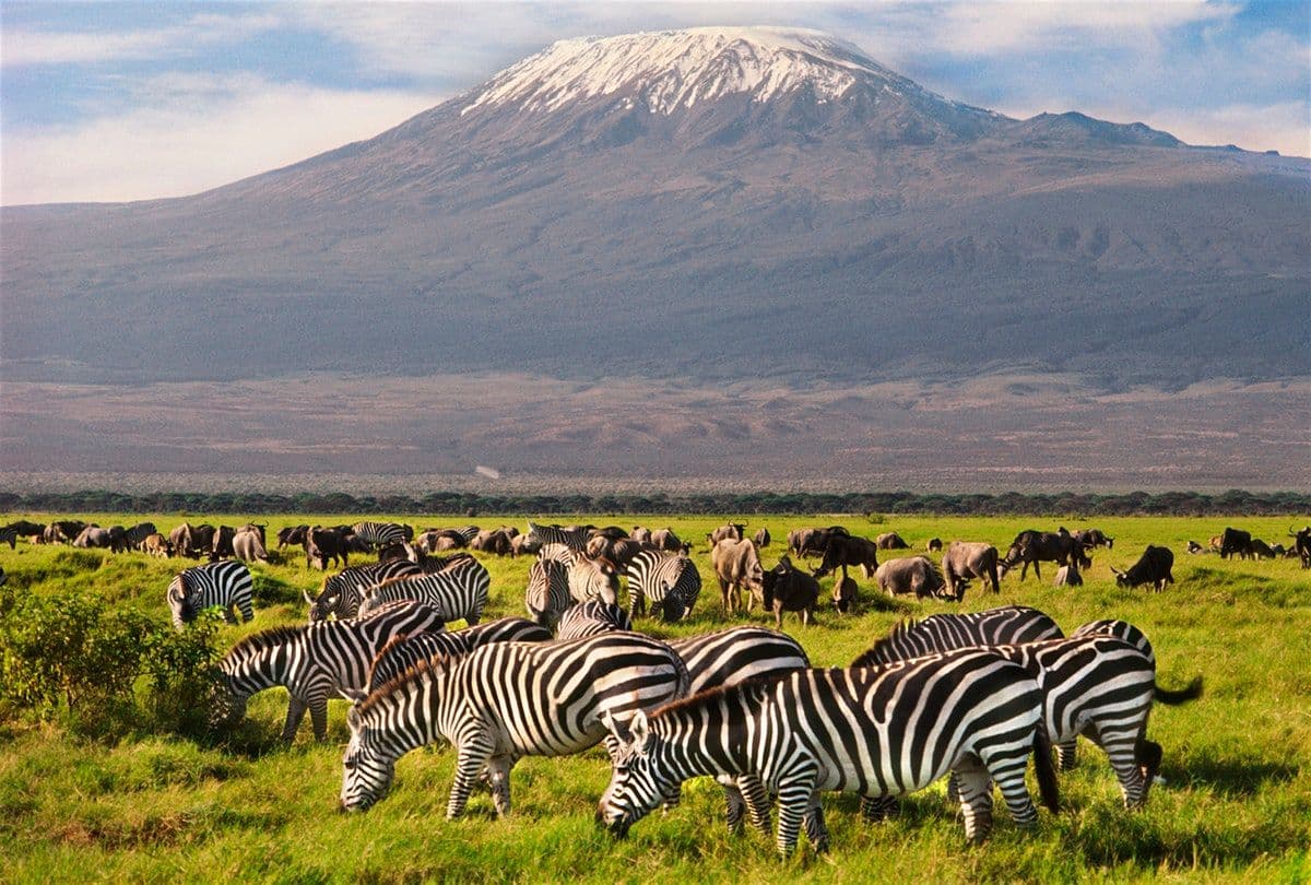 3-Day Tsavo & Amboseli Group Safari from Diani | Kilimanjaro & Big Five