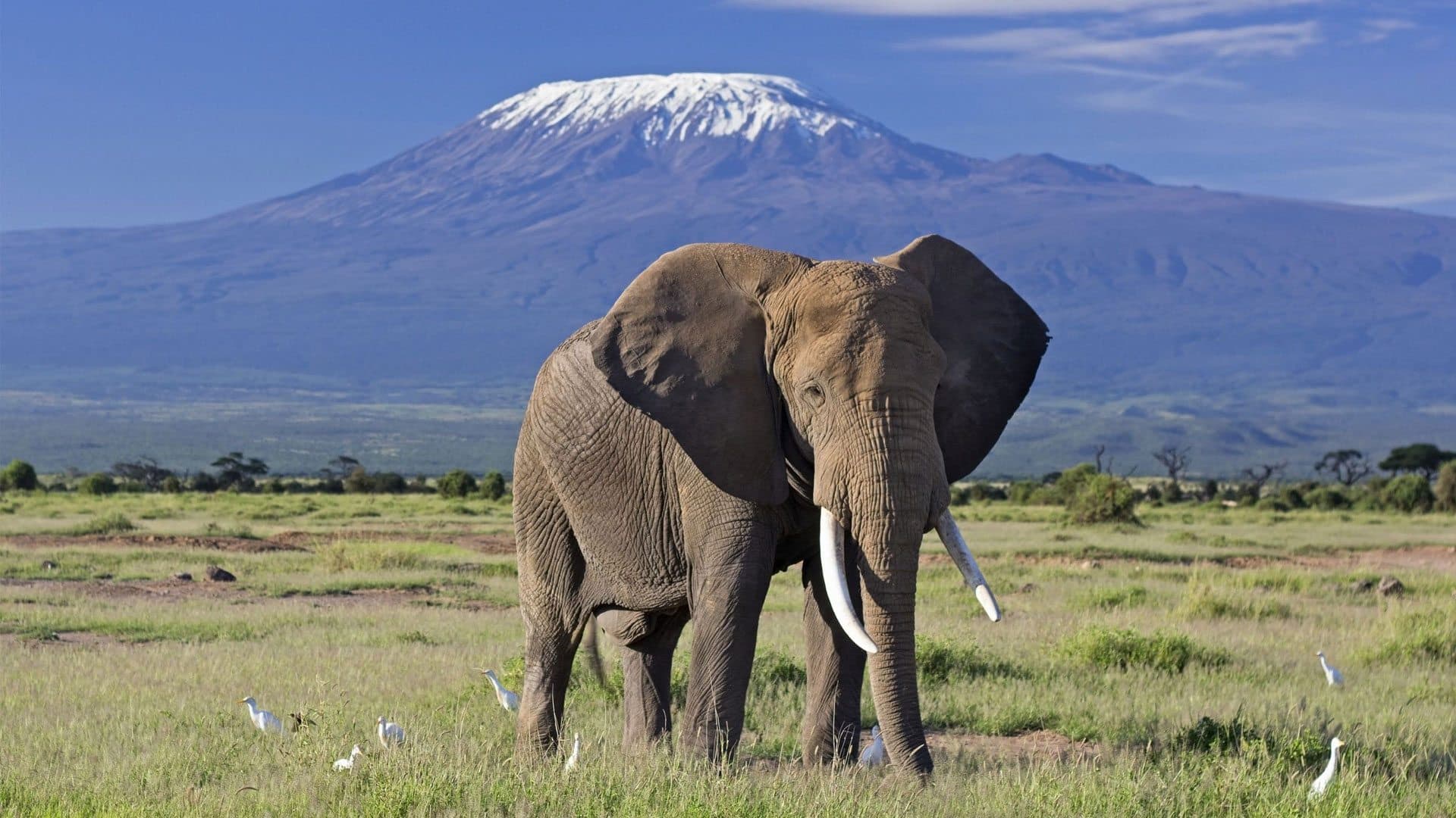 Flights to Kilimanjaro, Tanzania