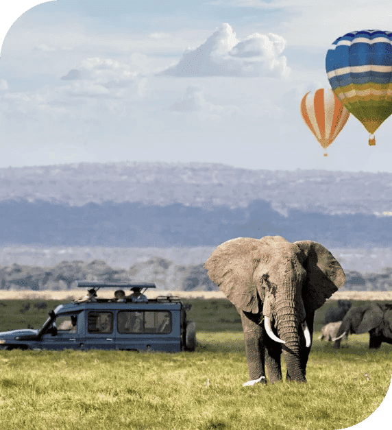 2-Day Tsavo East Group Safari from Diani | Big Five Tour