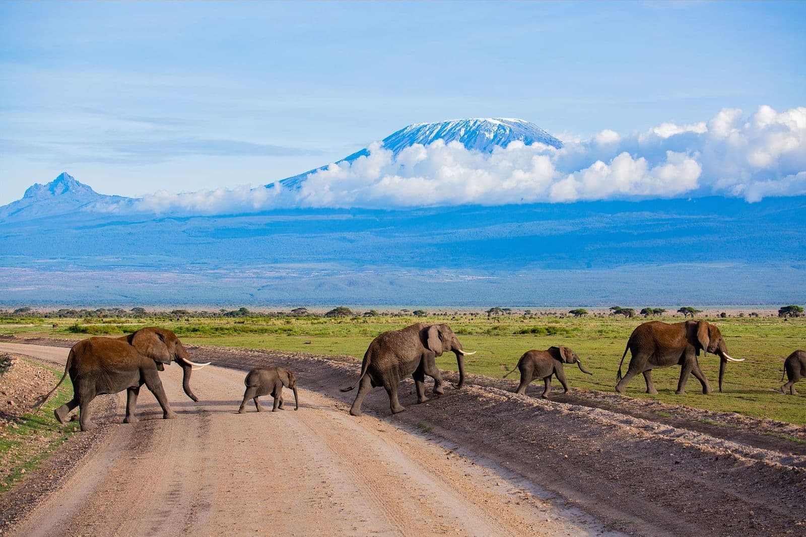 Amboseli — Maasai at the Foot of Kilimanjaro