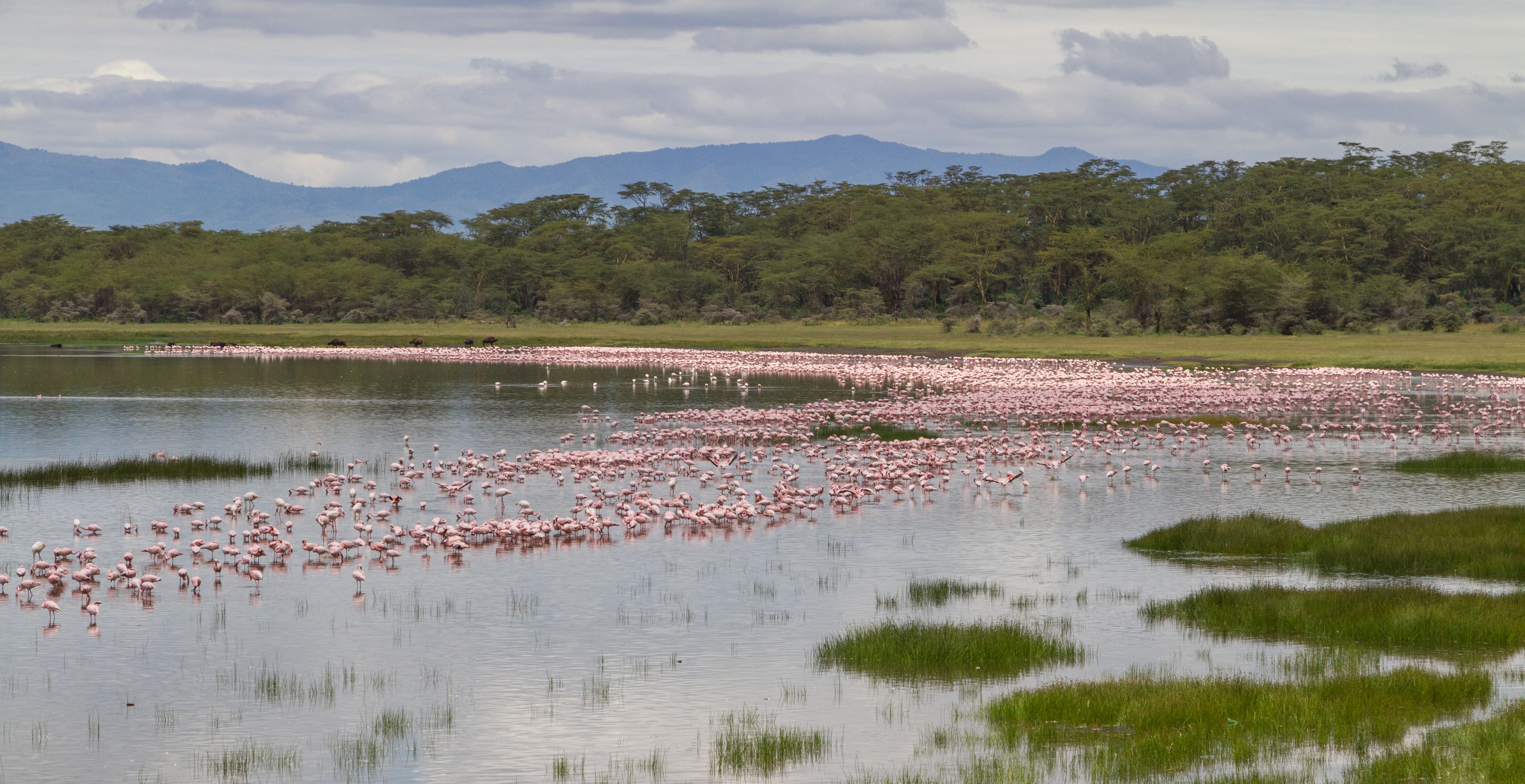 Lake Nakuru National Park