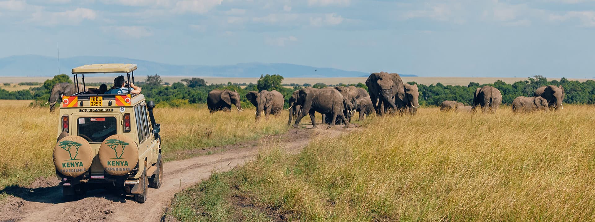 Group Safari Tours from Diani & Mombasa | Wildlife Adventures