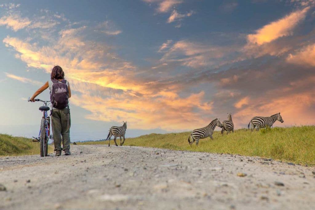 Cultural Safaris in Kenya & Tanzania - Thumbnail 5