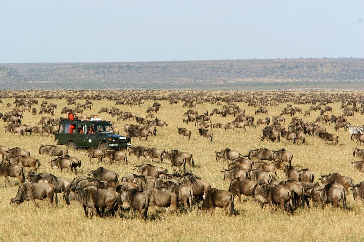 2-Day Ngorongoro Crater Safari | Big Five Weekend Getaway