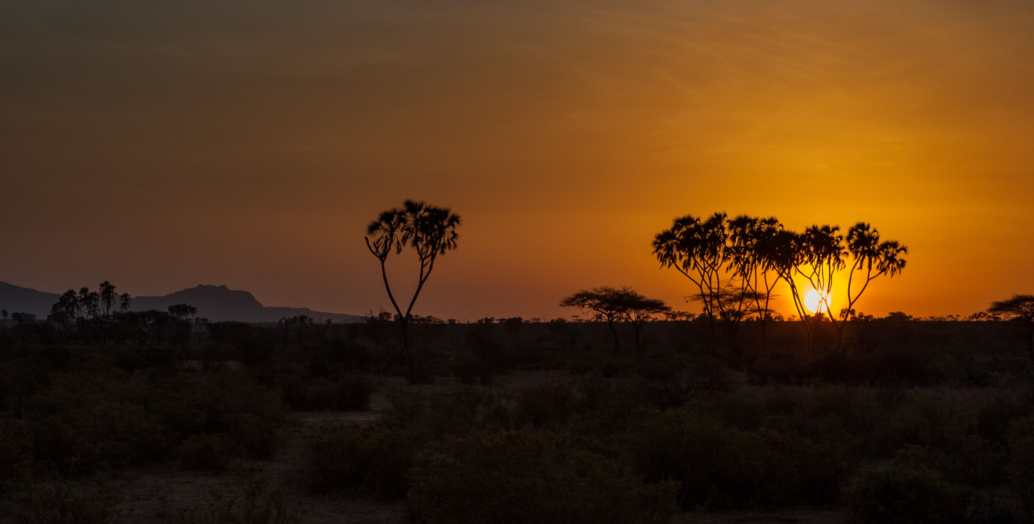 Day 2 — Full Day Samburu Game Drives — Buffalo Springs & Ewaso Ng'iro River