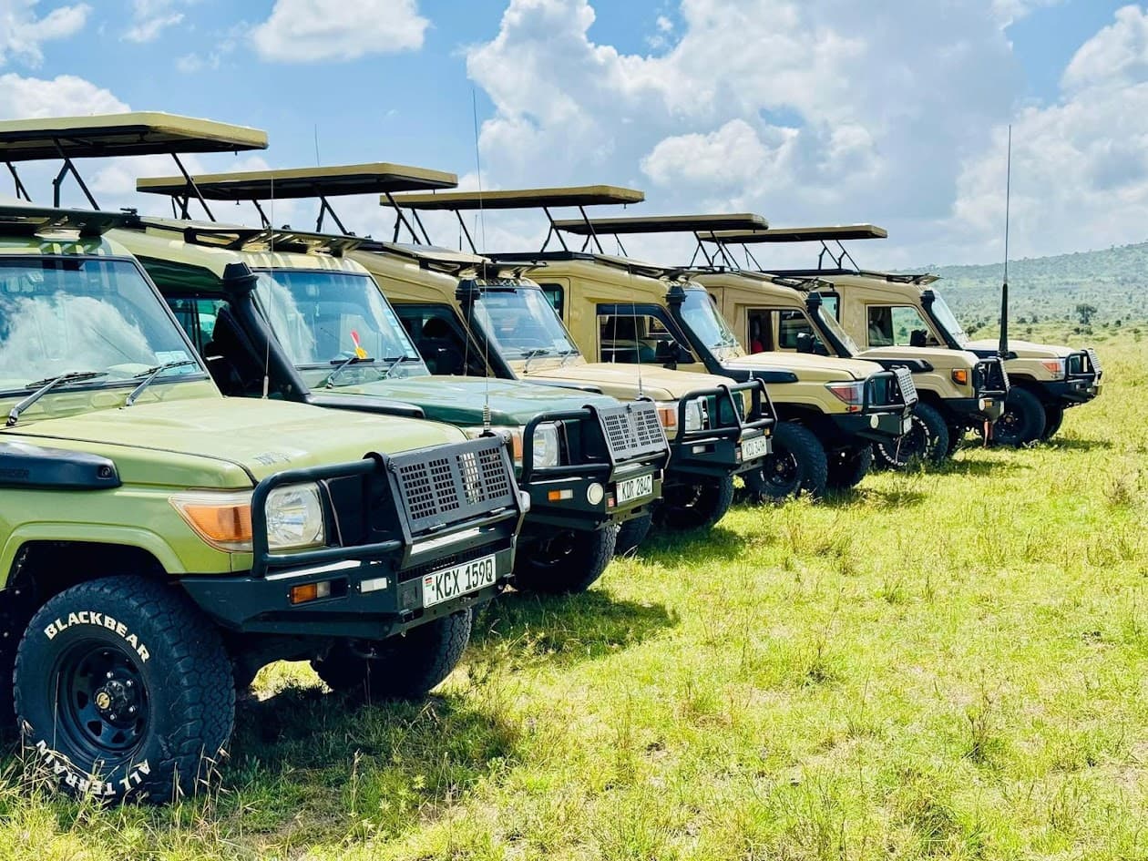 C.A.T.S safari fleet vehicles in the Masai Mara
