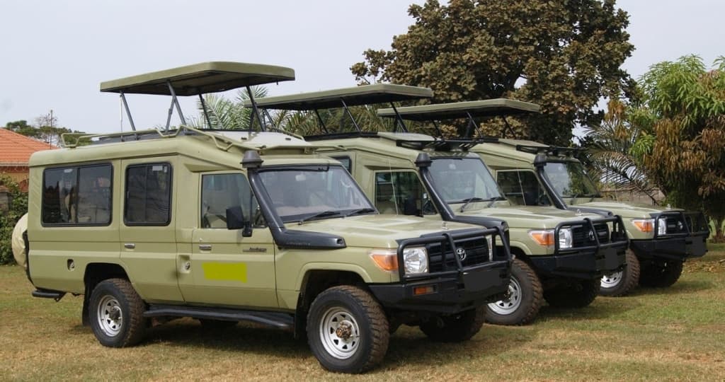 Land Cruiser fleet