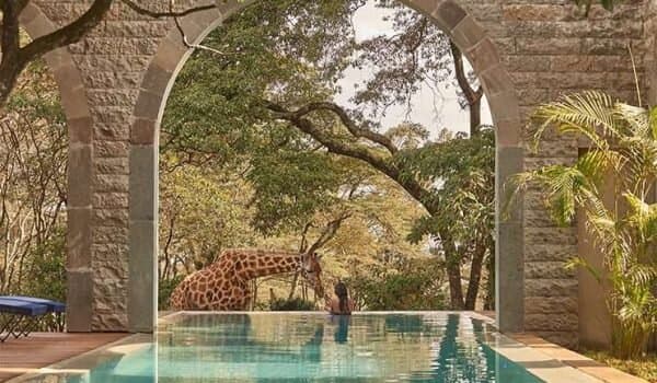 The Retreat at Giraffe Manor