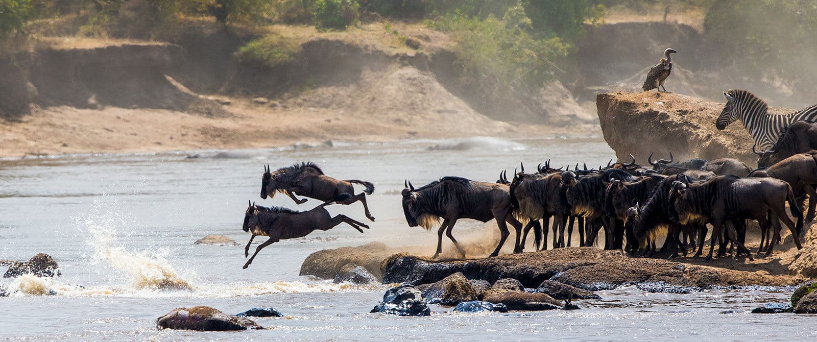 KENYA-TANZANIA SAFARIS