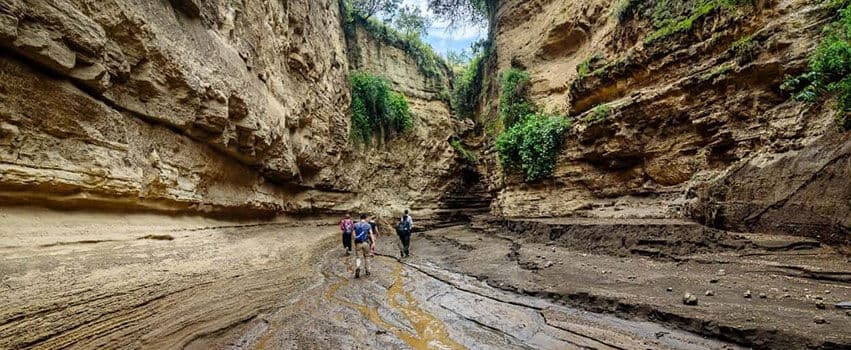 Day 13 — Ngorongoro Crater — Tarangire National Park