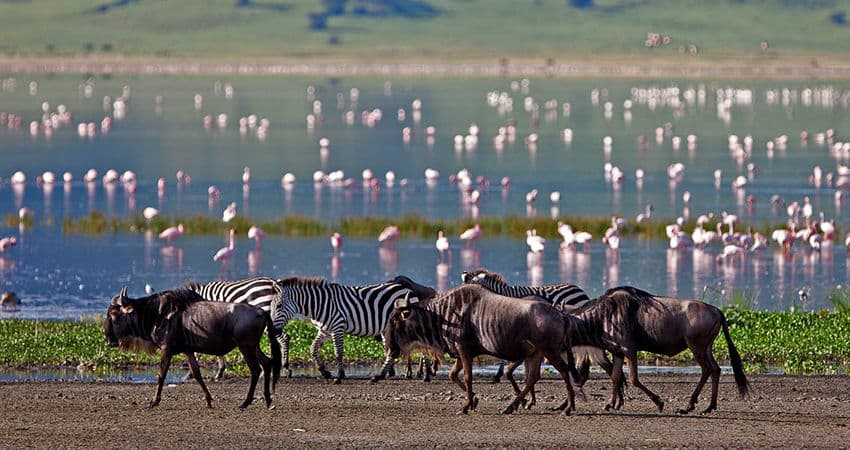 Day 3 — Samburu – Lake Nakuru