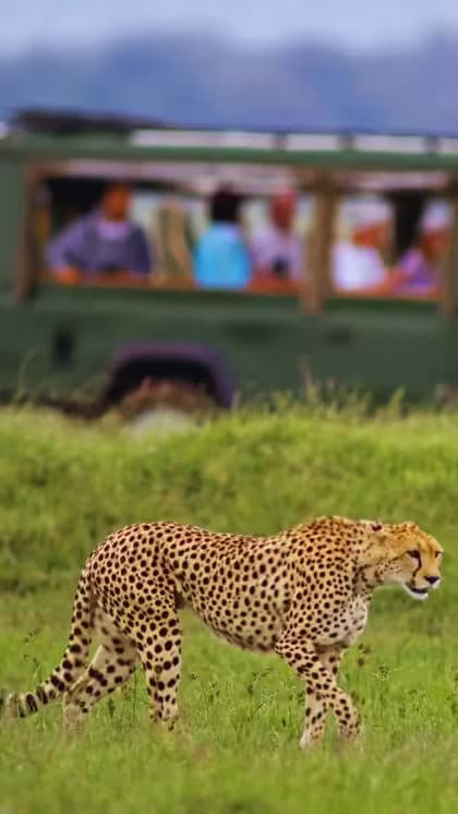 Ngorongoro, Tanzania