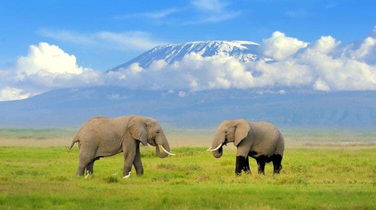 Day 4 — Lake Naivasha to Amboseli