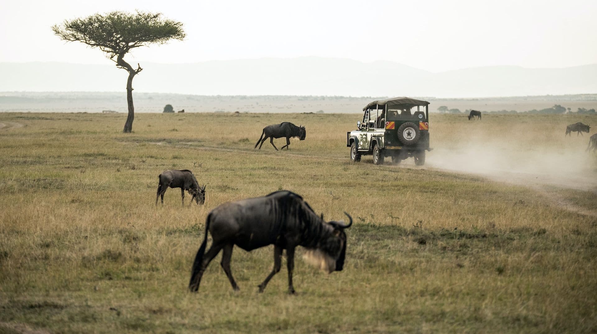 Day 5 — Full Day Amboseli