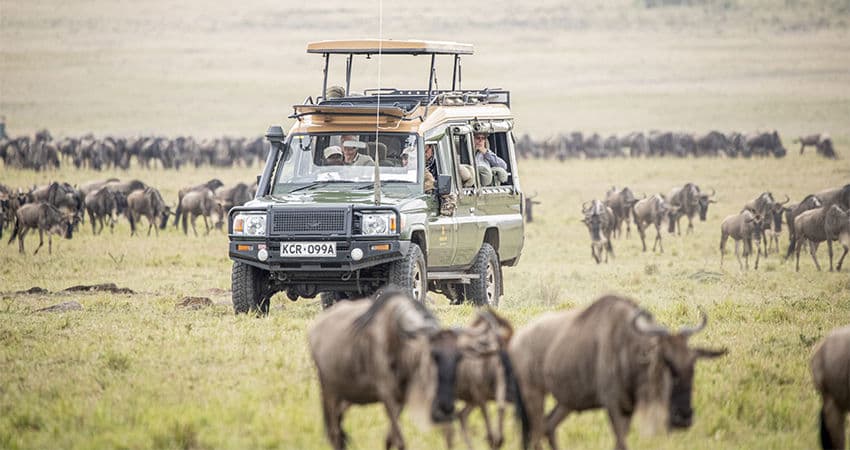 Day 6 — Full Day in Lake Nakuru National Park