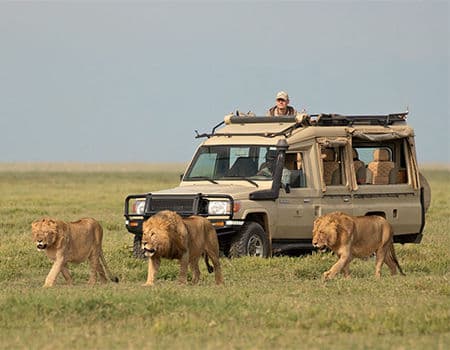 8-Day Kenya & Tanzania Safari | Mara, Serengeti & Ngorongoro