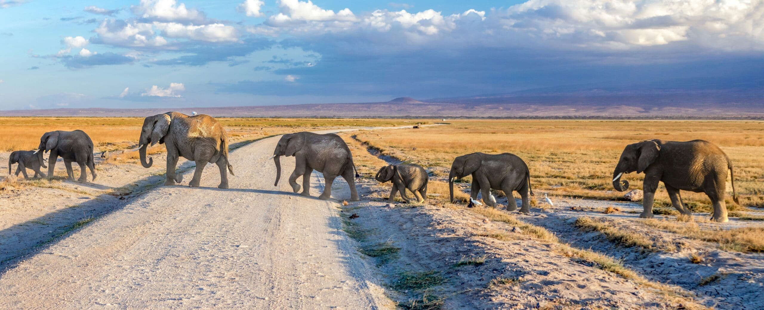 Day 5 — Amboseli to Tsavo East National Park
