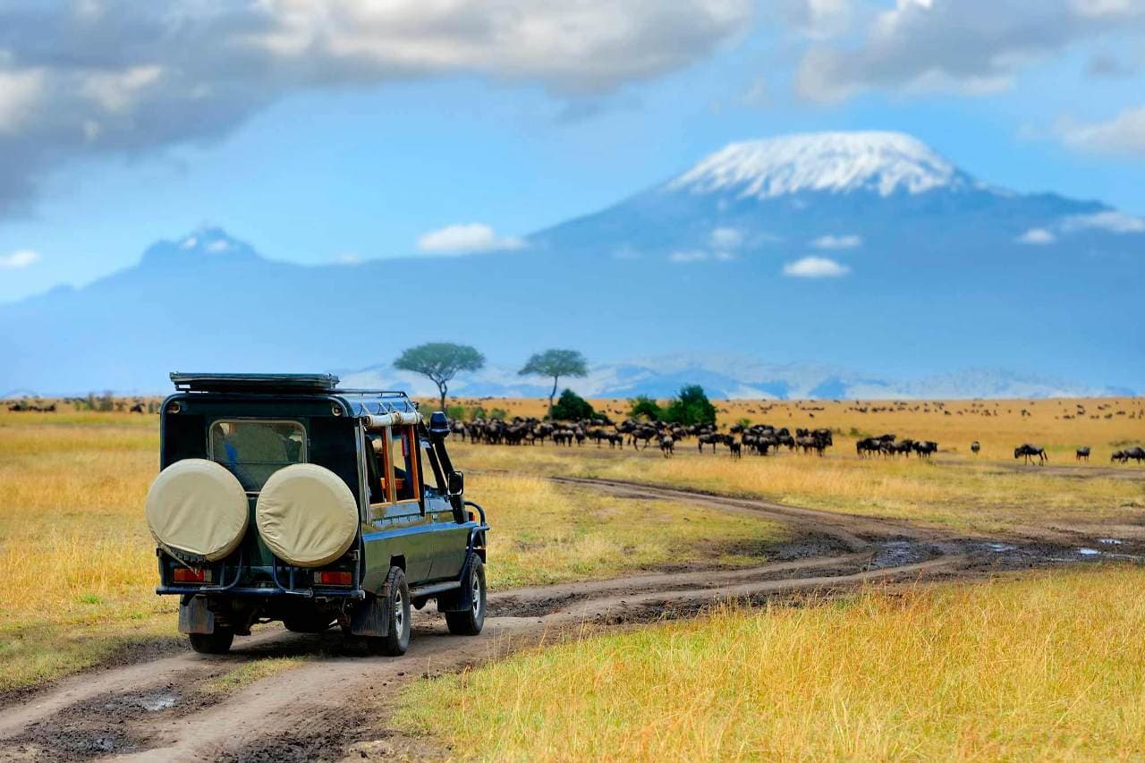 Day 2 — Amboseli to Nairobi