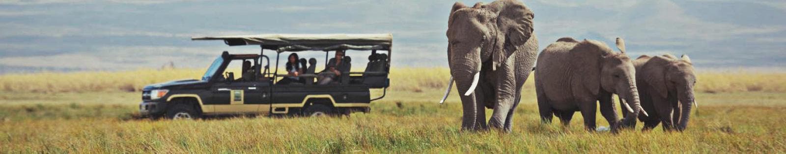 Day 2 — Full Day in Amboseli National Park