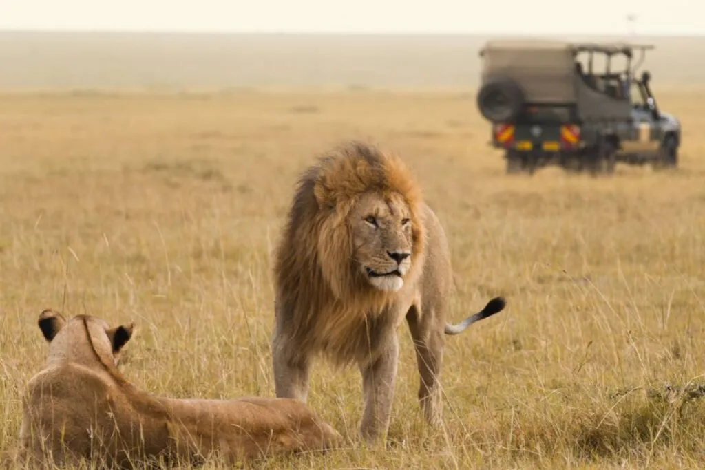 Golf Safaris in Kenya