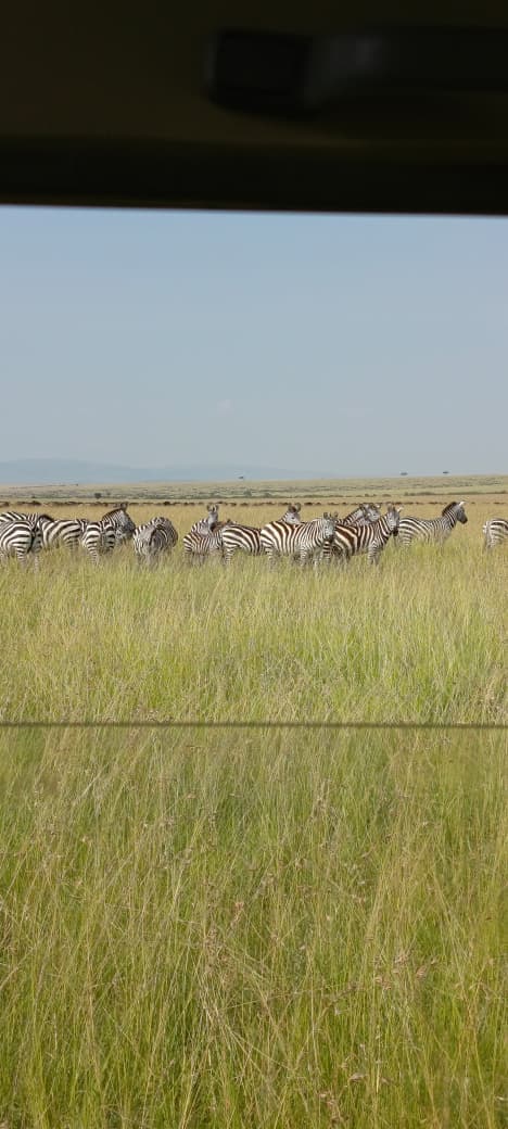 Serengeti, Tanzania