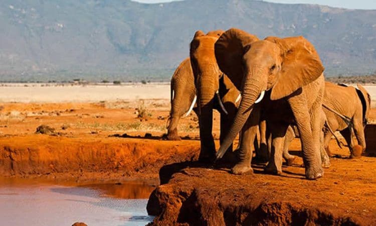 Day 4 — Tsavo West to Tsavo East National Park