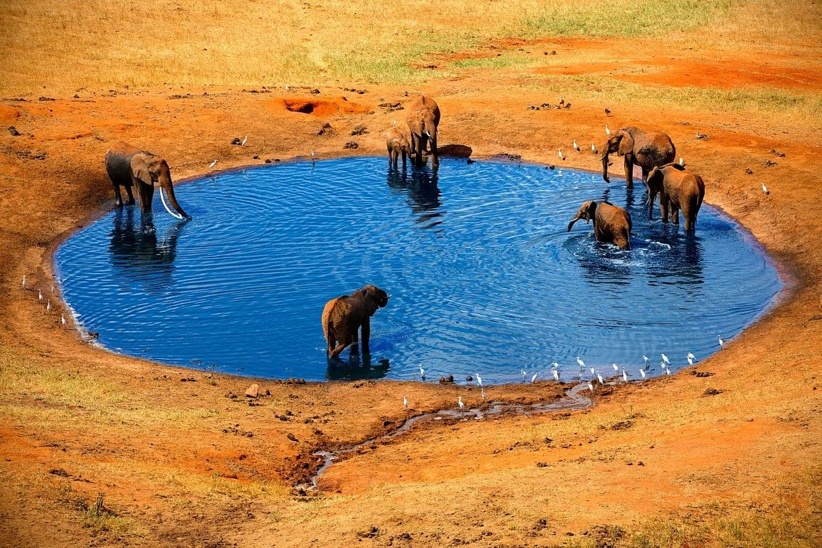 3-Day Coast to Nairobi Safari | Tsavo East & West
