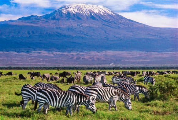 Day 6 — Full Day Serengeti