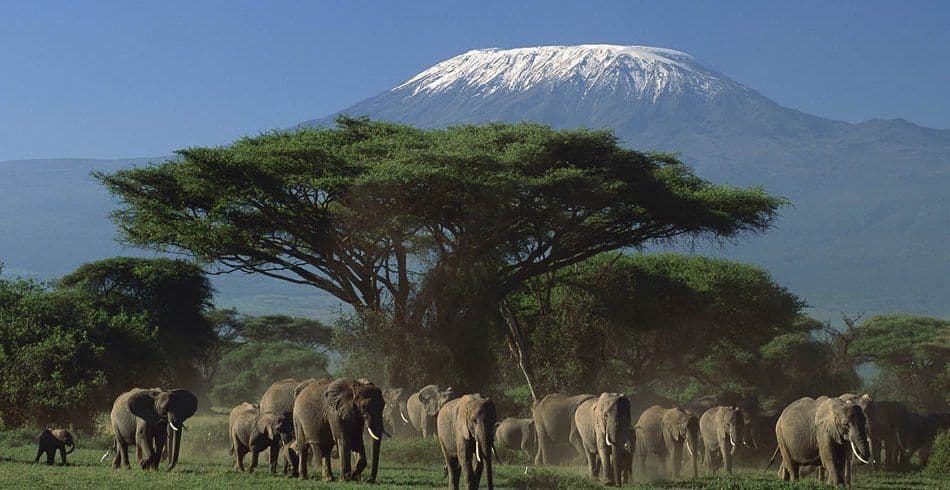 Day 2 — Full Day in Amboseli National Park