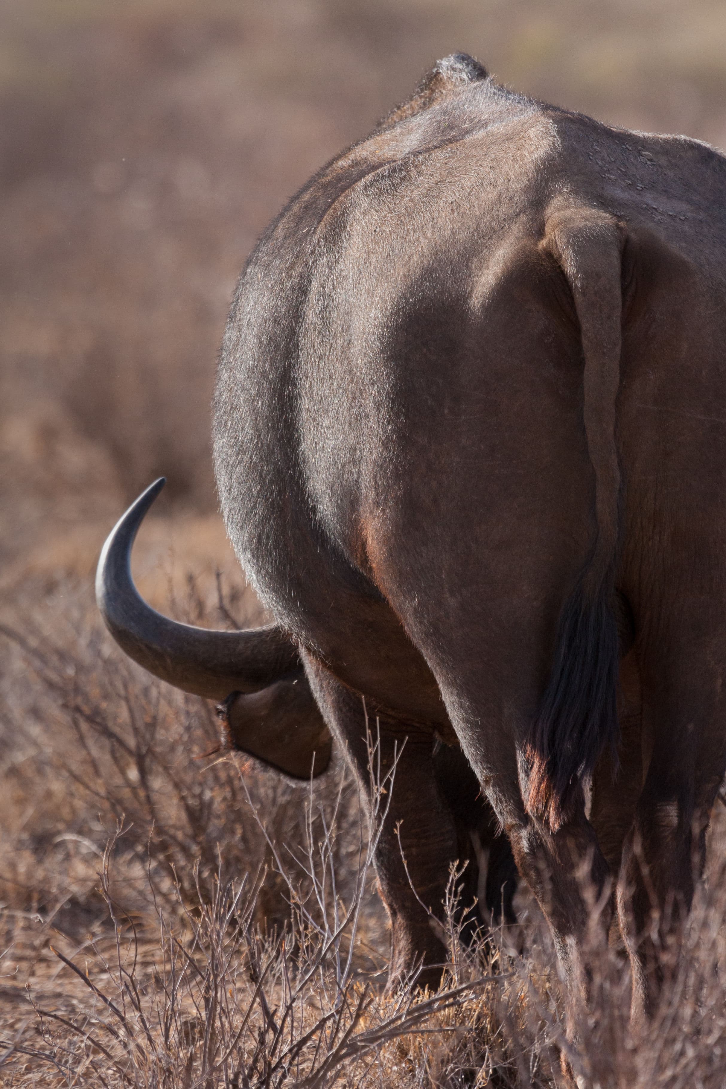Day 3 — Samburu to Aberdare National Park — via Isiolo, Nanyuki & Nyeri (220 km, ~3.5 hrs)