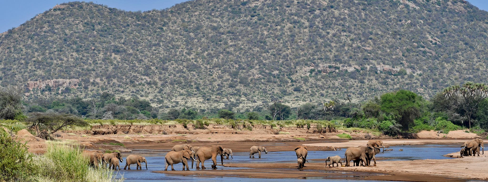 Day 2 — Full Day Samburu — Buffalo Springs & the Special Five