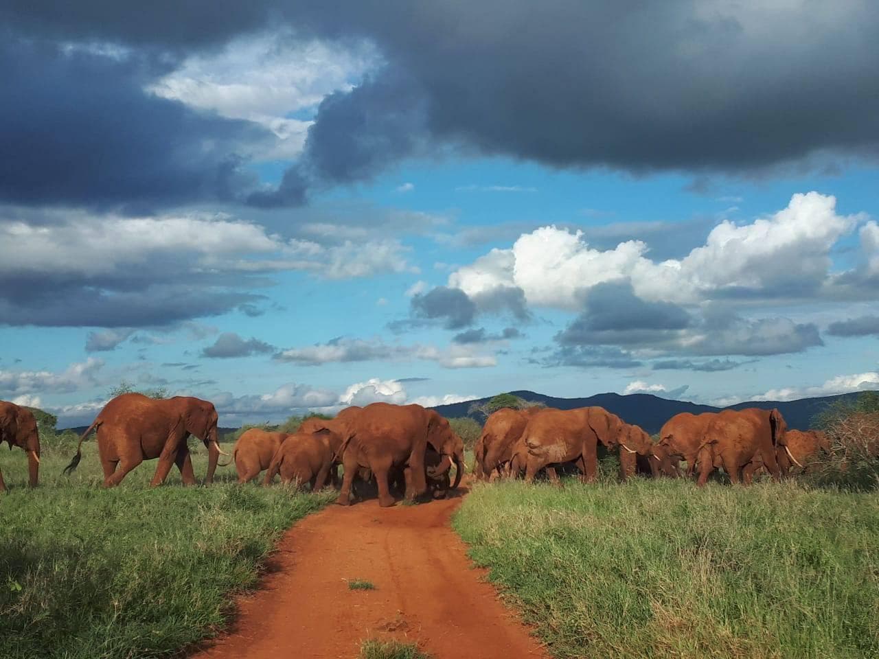 Day 2 — Amboseli to Tsavo West National Park