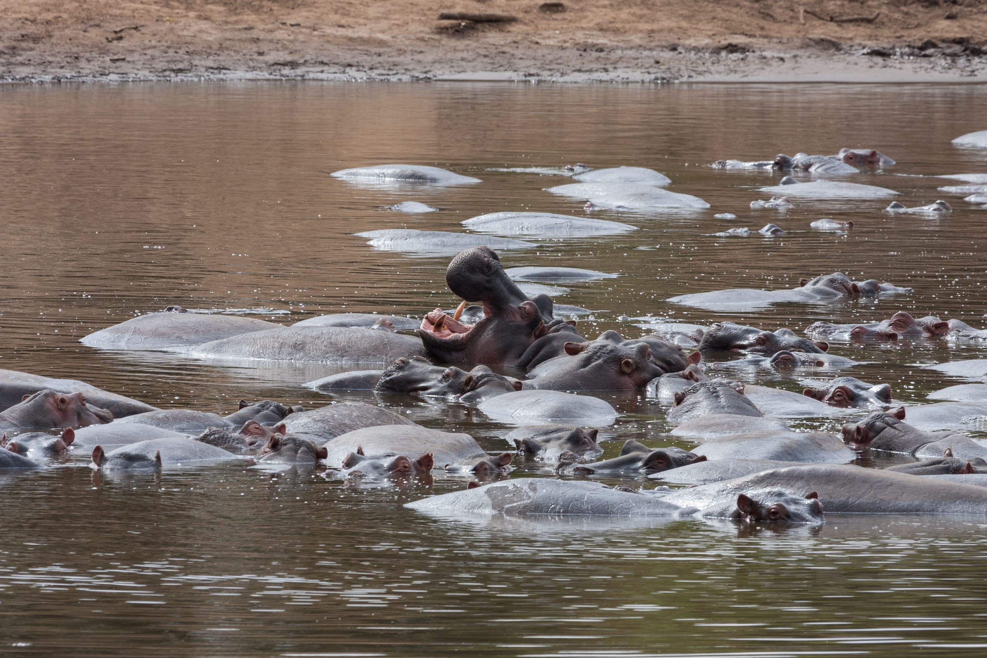 Day 3 — Samburu — Second Day