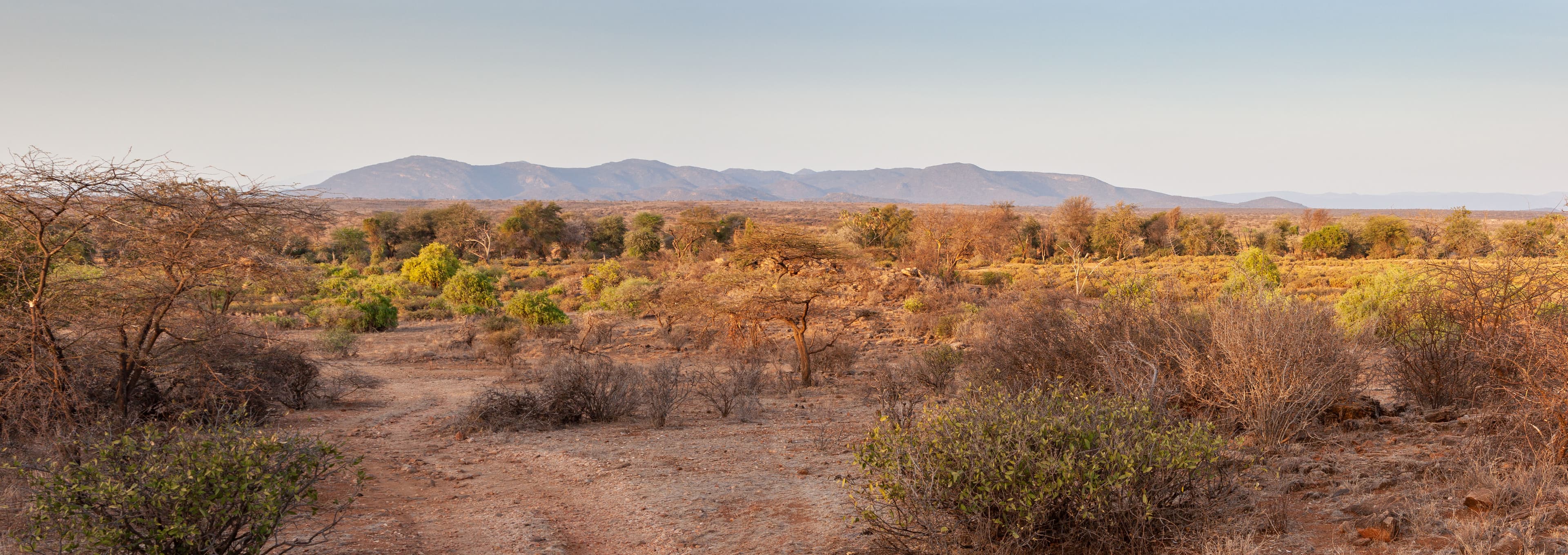Day 2 — Full Day Samburu