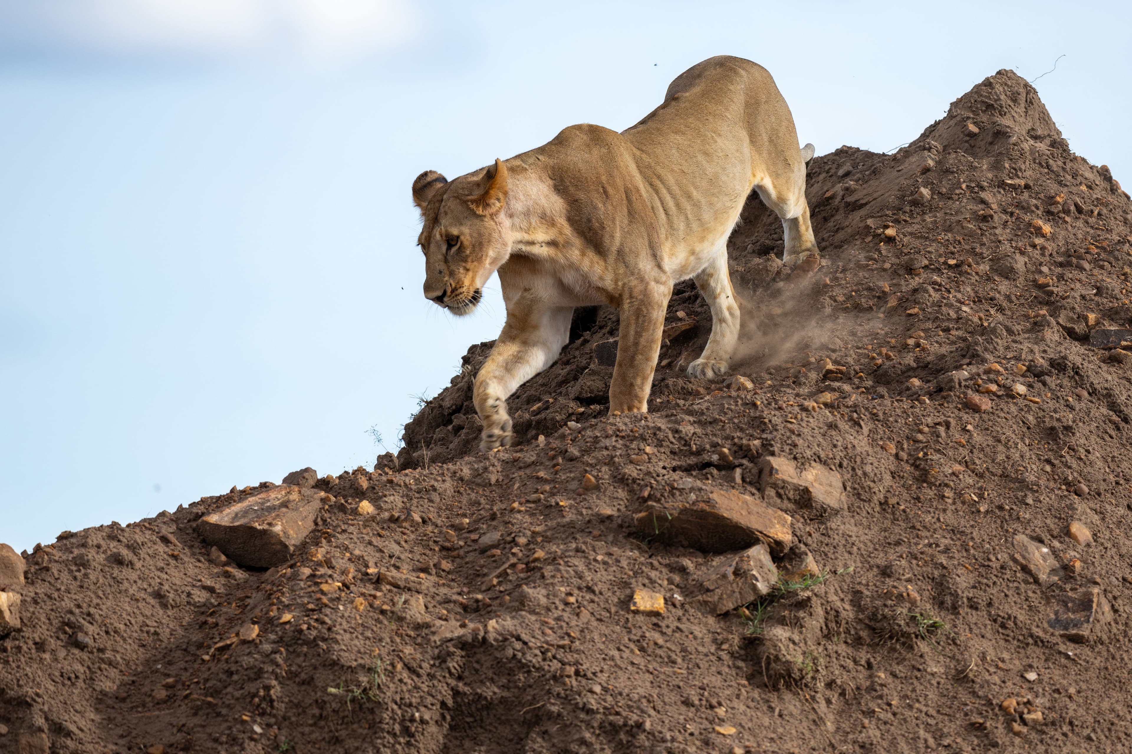 Day 3 — Wildlife & Culture – Mara Triangle
