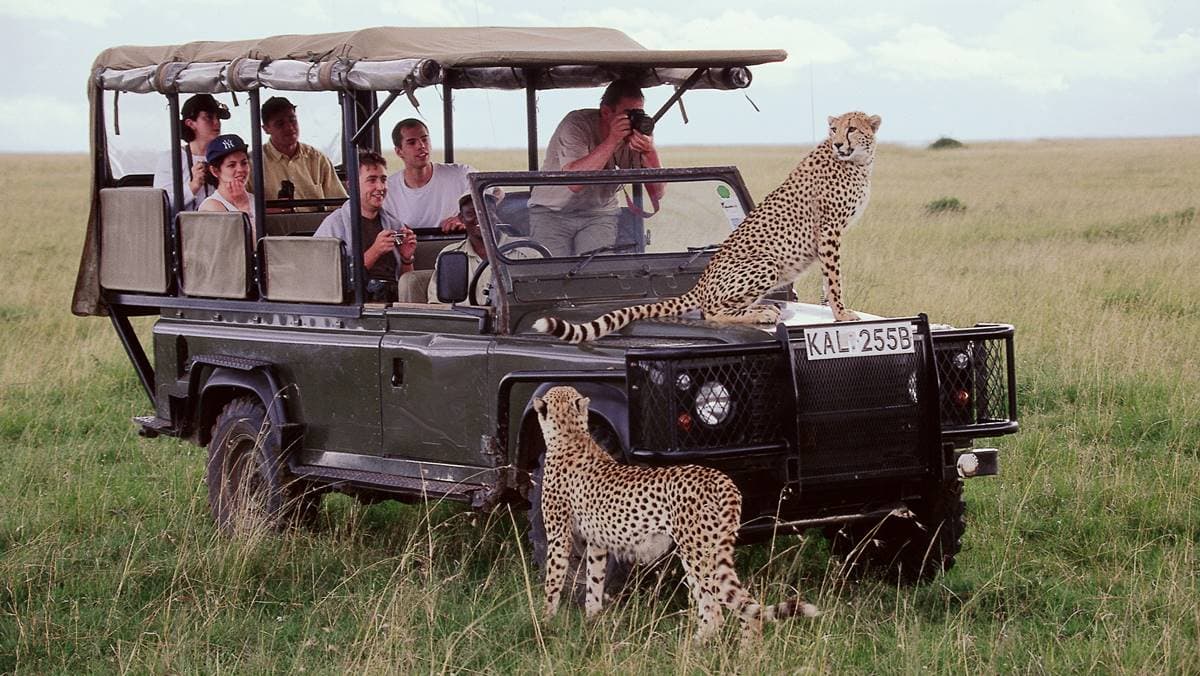 Day 2 — Full Day Amboseli