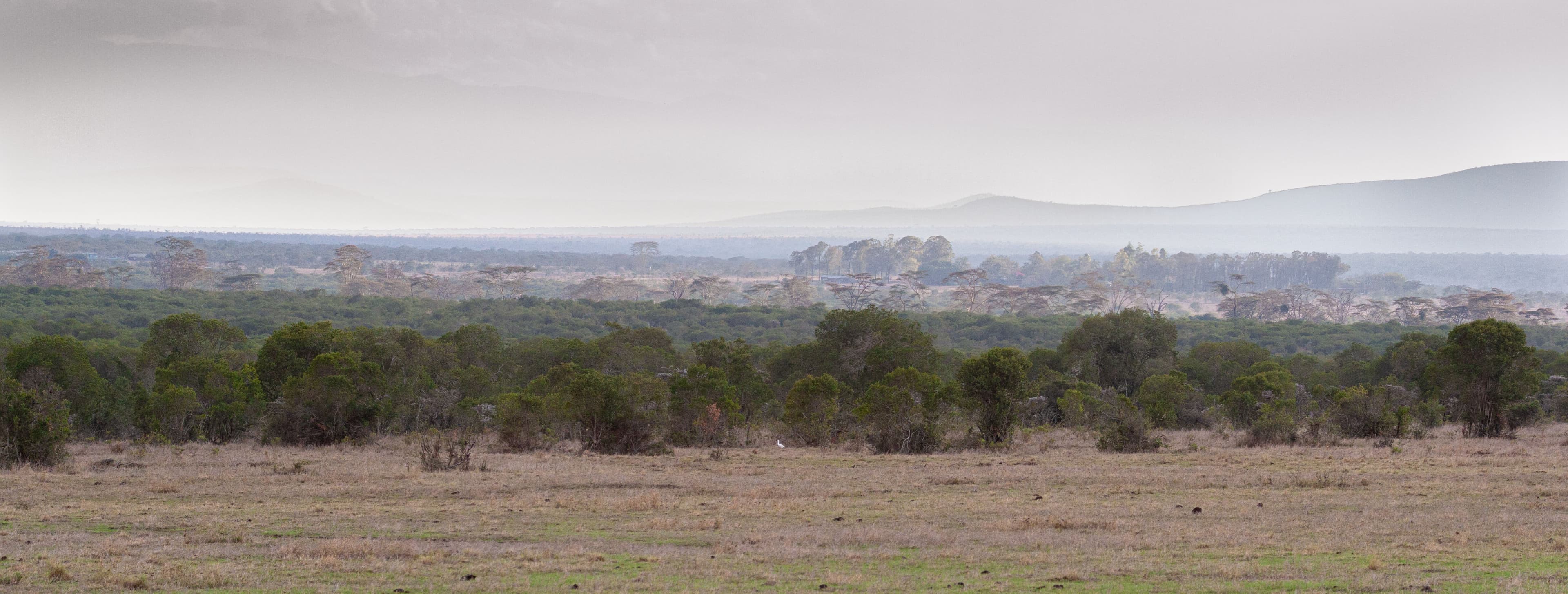 Day 2 — Full Day Ol Pejeta — Sweetwaters Chimpanzee Sanctuary & Game Drives