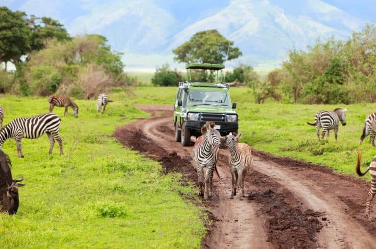 Day 2 — Lake Nakuru to Lake Naivasha