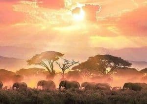 Amboseli, Kenya